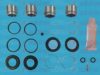 AUTOFREN SEINSA D41730C Repair Kit, brake caliper